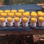 Beekeeping Transforming Livelihoods among Marsabit’s Pastoralist Communities