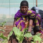 Transforming Mathenge: A Community-Led Approach to Restoring Land, Food Security, and Livelihoods